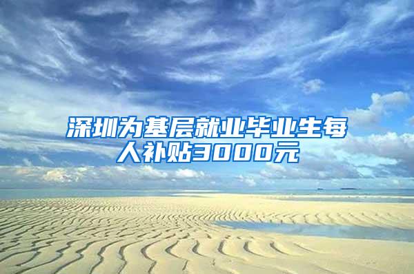 深圳为基层就业毕业生每人补贴3000元