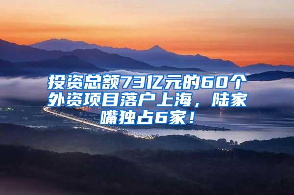 投资总额73亿元的60个外资项目落户上海，陆家嘴独占6家！