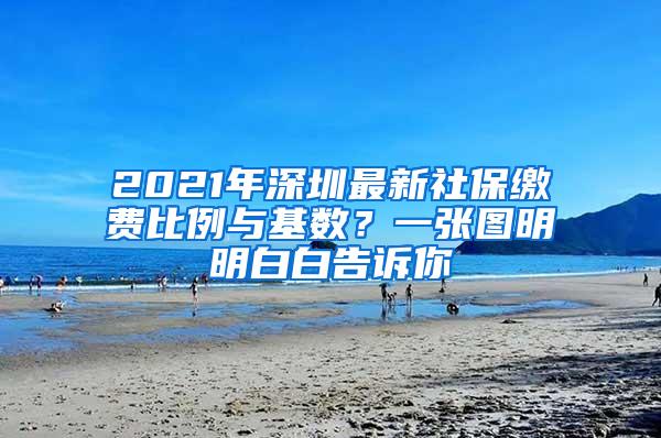 2021年深圳最新社保缴费比例与基数？一张图明明白白告诉你