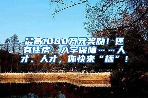 最高1000万元奖励！还有住房、入学保障……人才、人才，你快来“栖”！