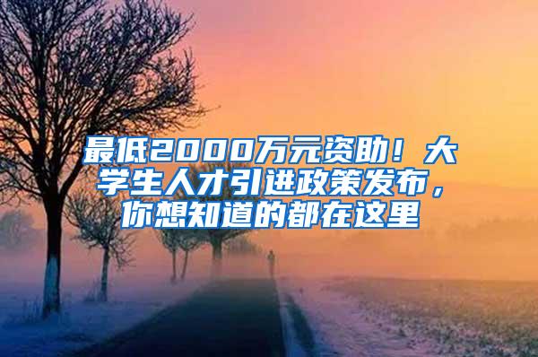 最低2000万元资助！大学生人才引进政策发布，你想知道的都在这里