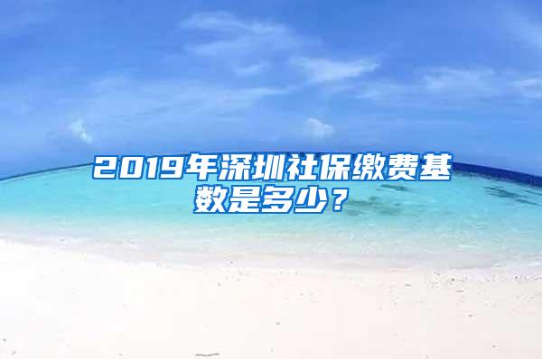 2019年深圳社保缴费基数是多少？