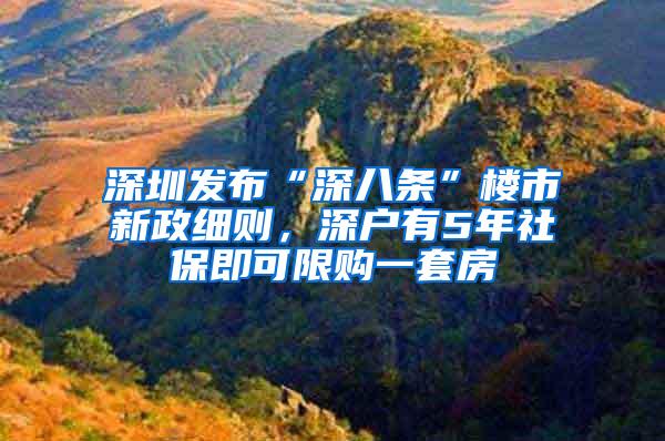 深圳发布“深八条”楼市新政细则，深户有5年社保即可限购一套房