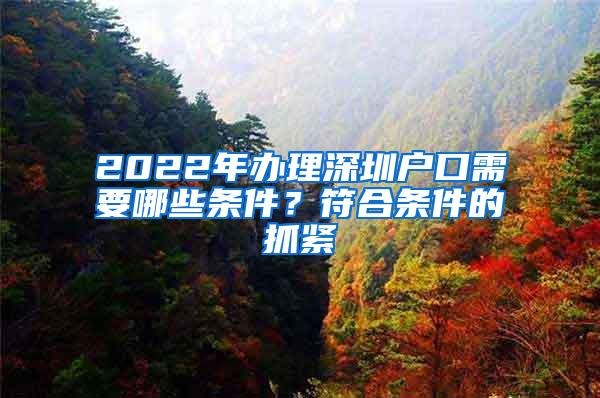 2022年办理深圳户口需要哪些条件？符合条件的抓紧