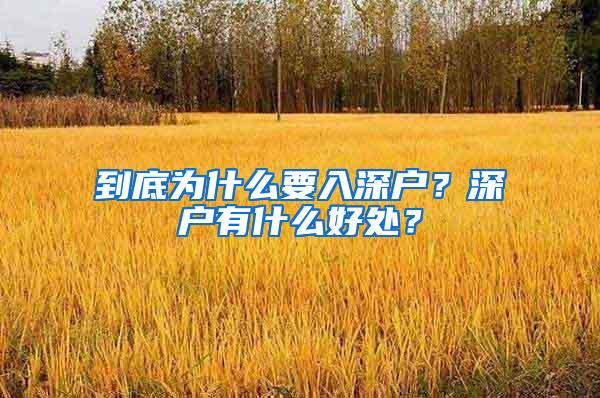 到底为什么要入深户？深户有什么好处？