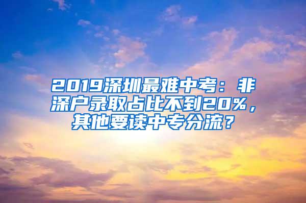 2019深圳最难中考：非深户录取占比不到20%，其他要读中专分流？