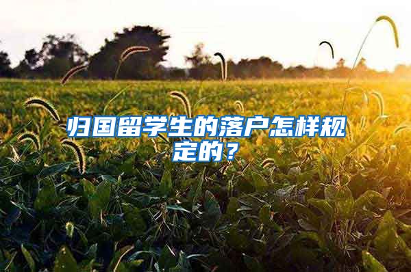 归国留学生的落户怎样规定的？