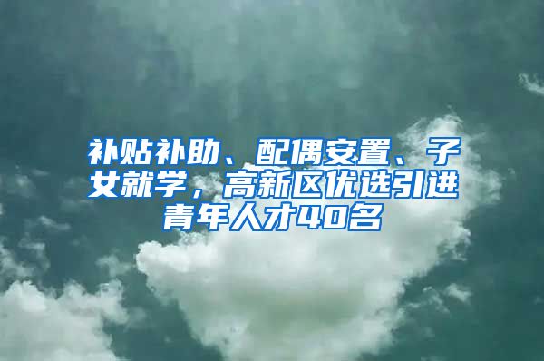 补贴补助、配偶安置、子女就学，高新区优选引进青年人才40名