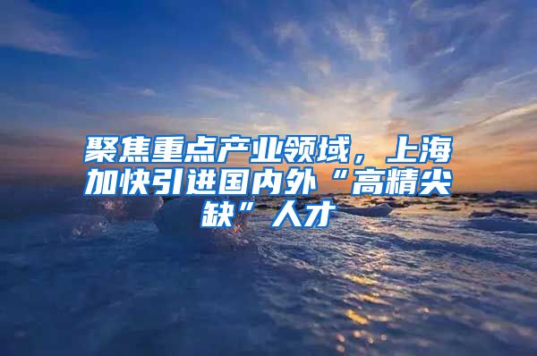 聚焦重点产业领域，上海加快引进国内外“高精尖缺”人才