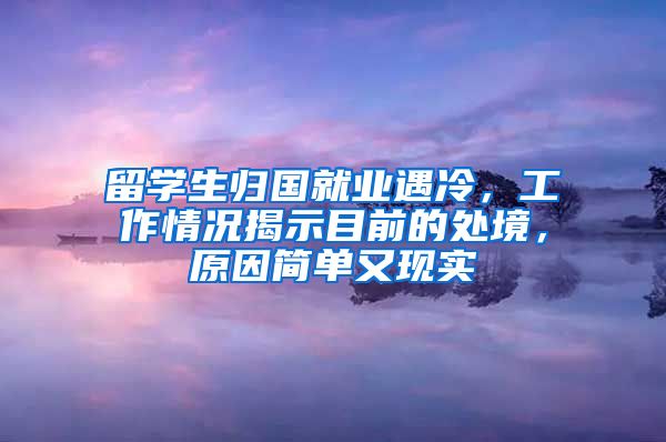 留学生归国就业遇冷，工作情况揭示目前的处境，原因简单又现实