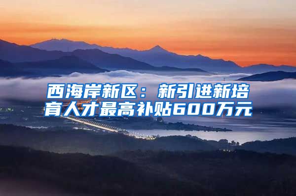 西海岸新区：新引进新培育人才最高补贴600万元