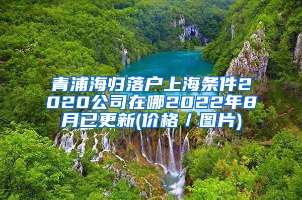 青浦海归落户上海条件2020公司在哪2022年8月已更新(价格／图片)