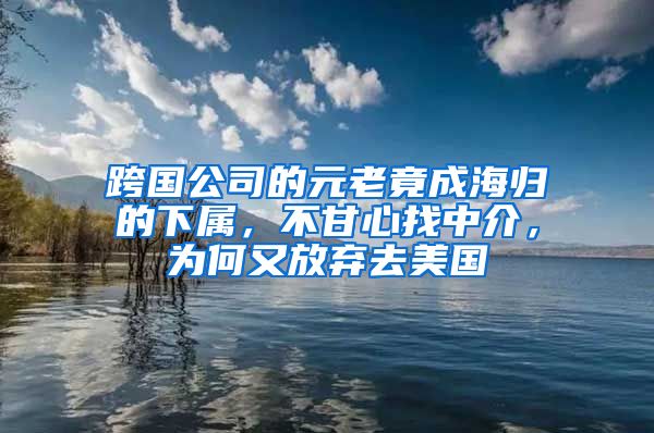 跨国公司的元老竟成海归的下属，不甘心找中介，为何又放弃去美国