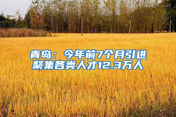 青岛：今年前7个月引进聚集各类人才12.3万人