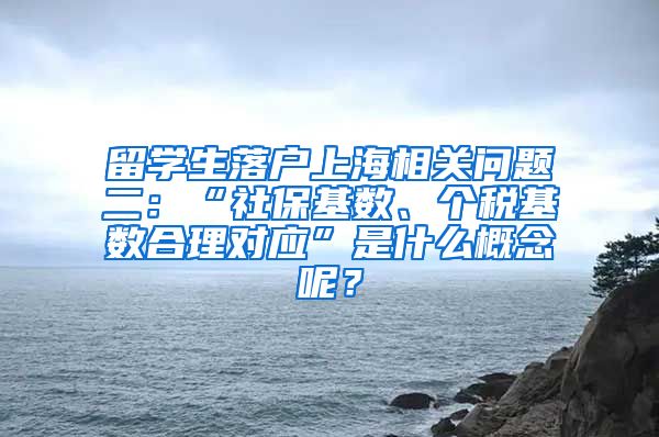 留学生落户上海相关问题二：“社保基数、个税基数合理对应”是什么概念呢？