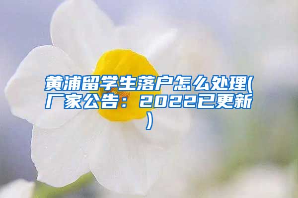 黄浦留学生落户怎么处理(厂家公告：2022已更新)