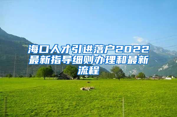 海口人才引进落户2022最新指导细则办理和最新流程