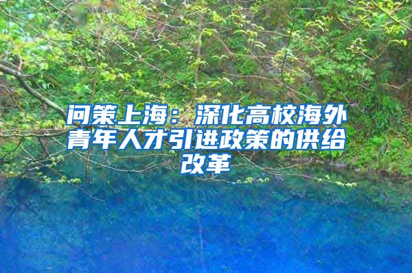 问策上海：深化高校海外青年人才引进政策的供给改革