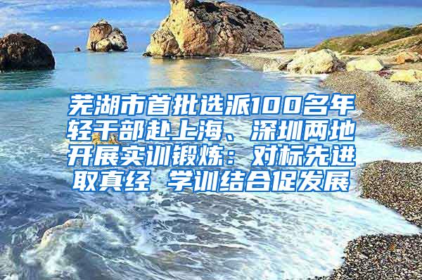 芜湖市首批选派100名年轻干部赴上海、深圳两地开展实训锻炼：对标先进取真经 学训结合促发展