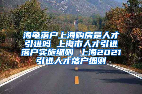 海龟落户上海购房是人才引进吗 上海市人才引进落户实施细则 上海2021引进人才落户细则