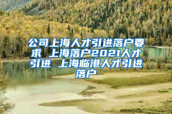 公司上海人才引进落户要求 上海落户2021人才引进 上海临港人才引进落户