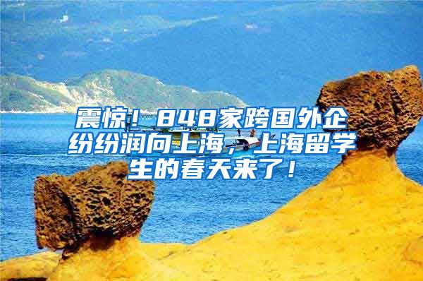 震惊！848家跨国外企纷纷润向上海，上海留学生的春天来了！