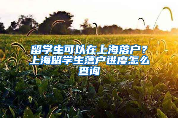 留学生可以在上海落户？上海留学生落户进度怎么查询