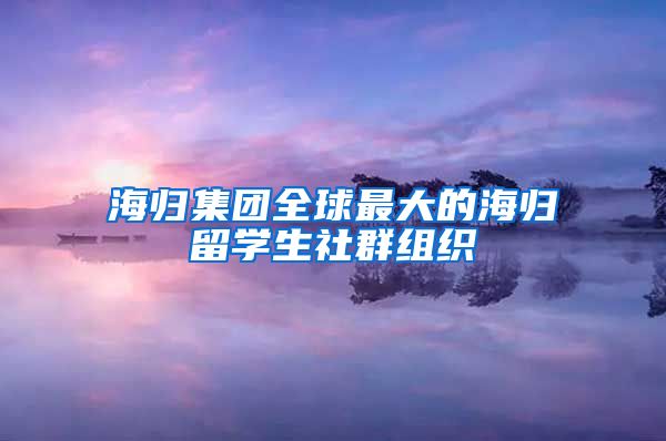 海归集团全球最大的海归留学生社群组织