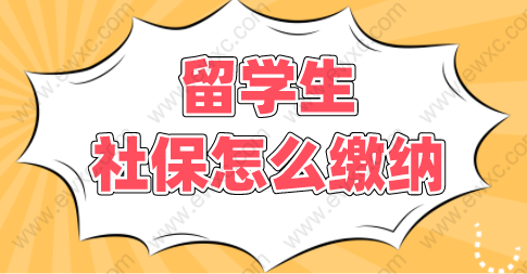 留学生回国缴纳社保即可落户？上海落户这么简单？