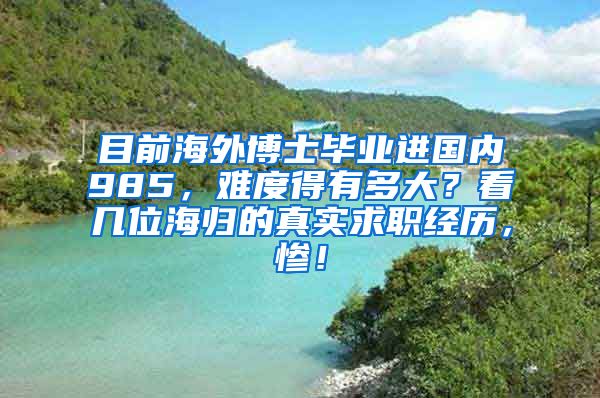 目前海外博士毕业进国内985，难度得有多大？看几位海归的真实求职经历，惨！