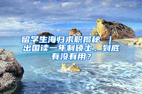 留学生海归求职揭秘 ｜ 出国读一年制硕士，到底有没有用？