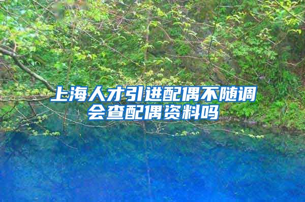 上海人才引进配偶不随调会查配偶资料吗