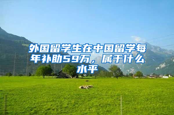 外国留学生在中国留学每年补助59万，属于什么水平