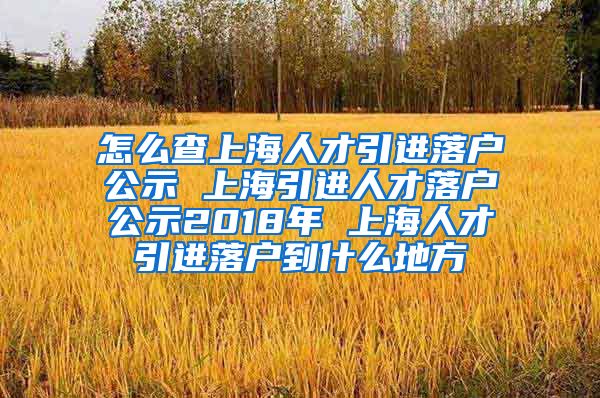 怎么查上海人才引进落户公示 上海引进人才落户公示2018年 上海人才引进落户到什么地方