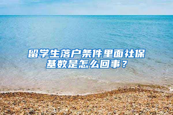 留学生落户条件里面社保基数是怎么回事？