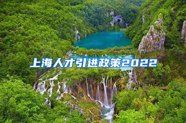 上海人才引进政策2022