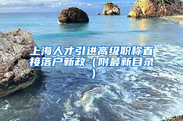 上海人才引进高级职称直接落户新政（附最新目录）