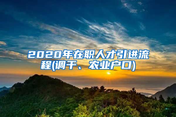 2020年在职人才引进流程(调干、农业户口)