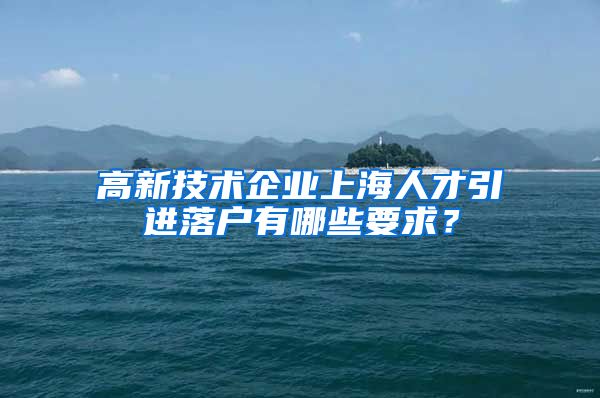 高新技术企业上海人才引进落户有哪些要求？