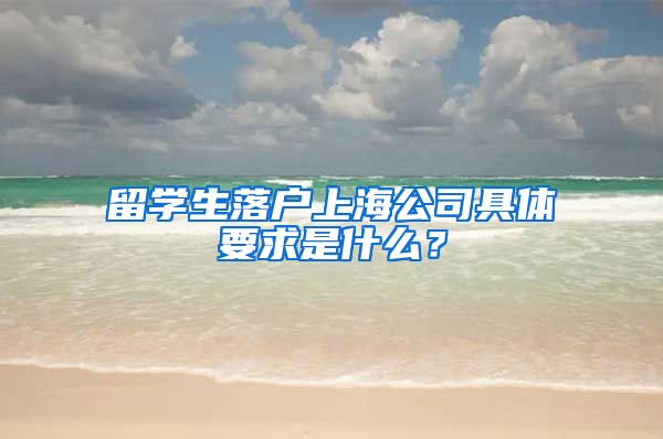 留学生落户上海公司具体要求是什么？