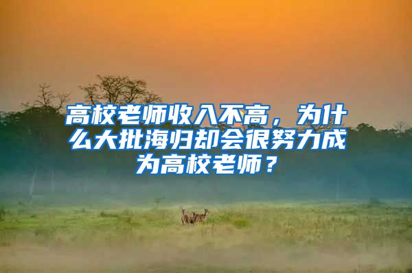 高校老师收入不高，为什么大批海归却会很努力成为高校老师？