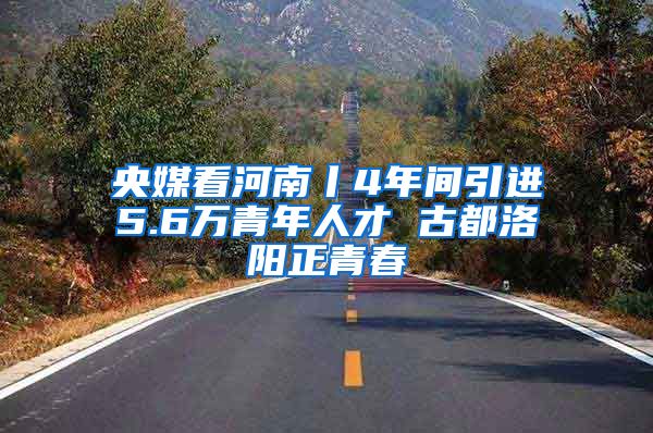 央媒看河南丨4年间引进5.6万青年人才 古都洛阳正青春