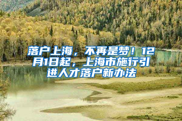 落户上海，不再是梦！12月1日起，上海市施行引进人才落户新办法