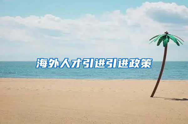 海外人才引进引进政策