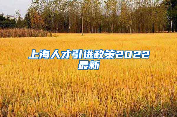 上海人才引进政策2022最新