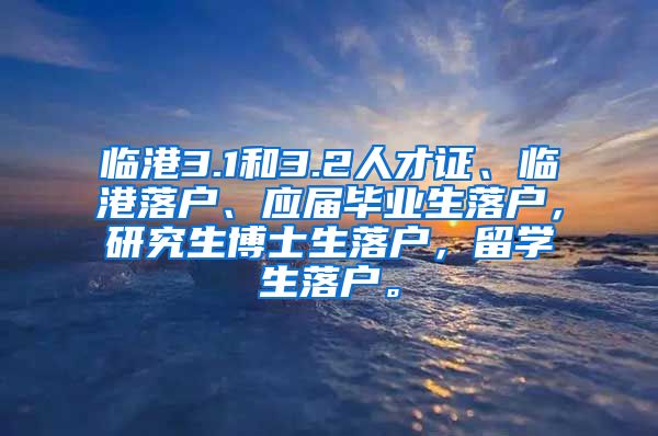 临港3.1和3.2人才证、临港落户、应届毕业生落户，研究生博士生落户，留学生落户。