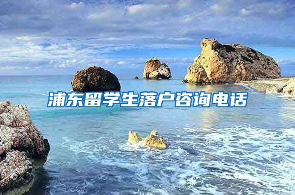 浦东留学生落户咨询电话