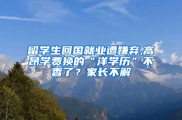 留学生回国就业遭嫌弃,高昂学费换的“洋学历”不香了？家长不解