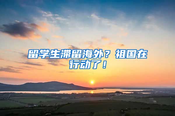 留学生滞留海外？祖国在行动了！