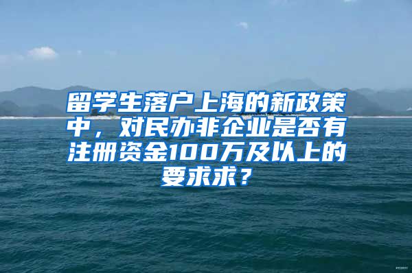 留学生落户上海的新政策中，对民办非企业是否有注册资金100万及以上的要求求？